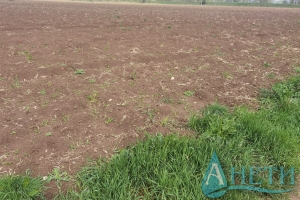 Продава Парцел за къща с.Равно поле, София