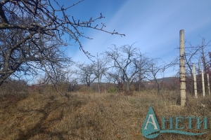 For sale Land Elin Pelin